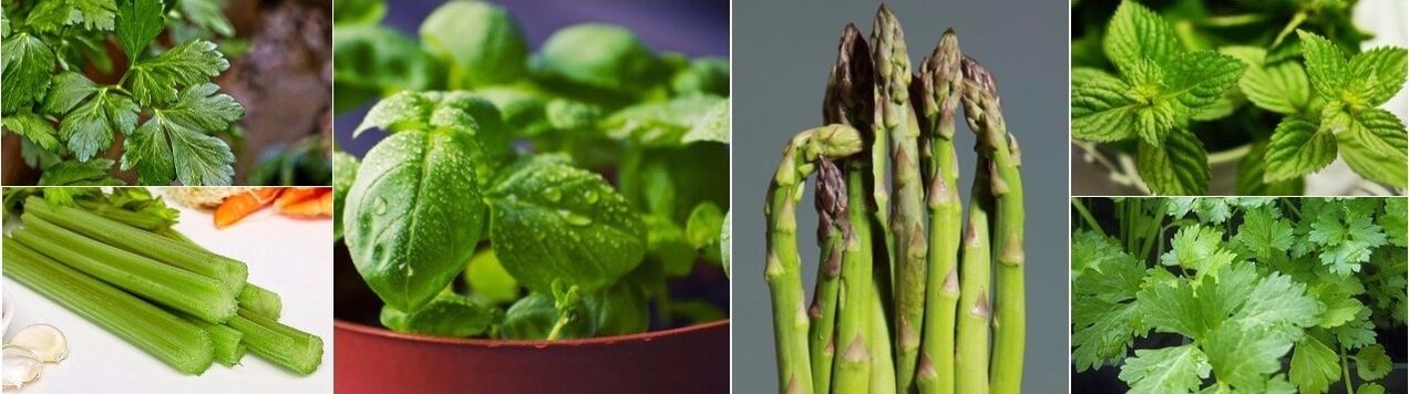 Zaļumi, kas palīdz palielināt potenci vīriešiem