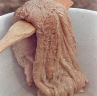 kamieļa vēders, lai stimulētu potenci